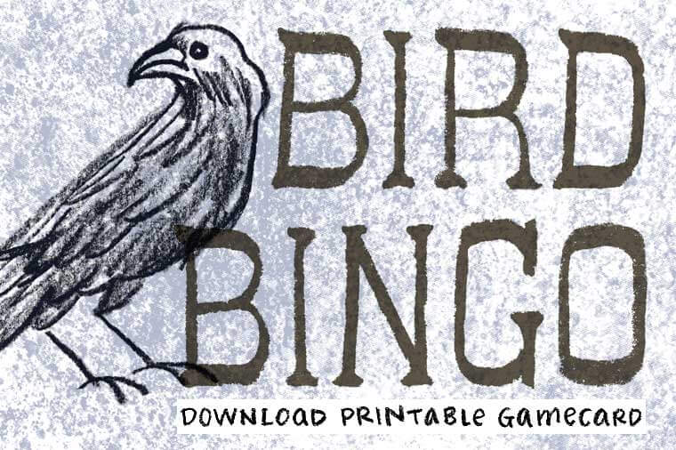 kcdbirdbingo